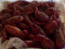 whole lotta crawfish